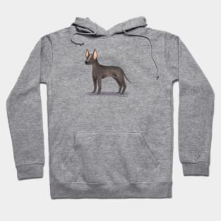 Xoloitzcuintle Dog Hoodie